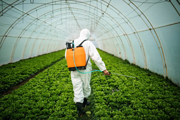 Best Pest Inspection Near Me  in Colstrip, MT