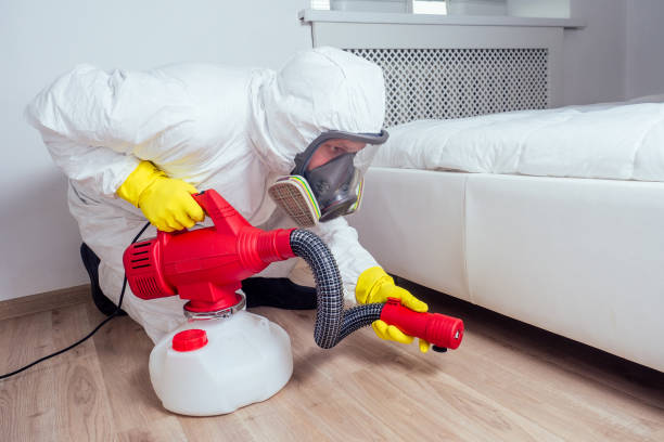 Best Flea Control Services  in Colstrip, MT
