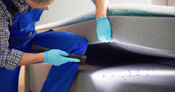 Best Wasp Removal Services  in Colstrip, MT