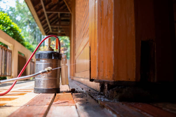 Best Mosquito Control Services  in Colstrip, MT