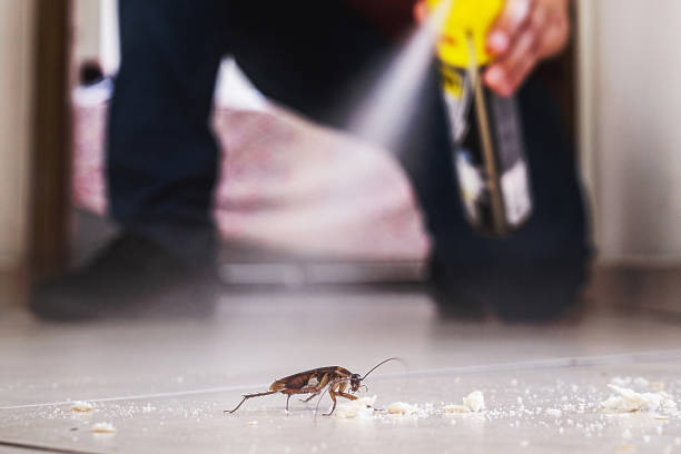 Best Best Pest Control Companies  in Colstrip, MT
