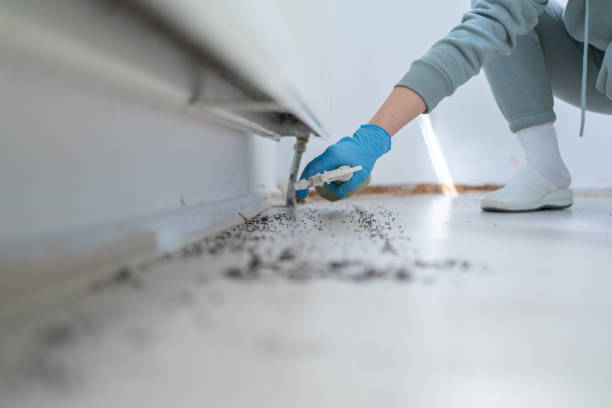 Best Cockroach Control Services  in Colstrip, MT